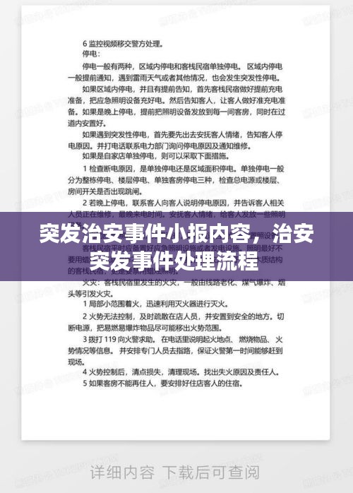 突发治安事件小报内容,治安突发事件处理流程