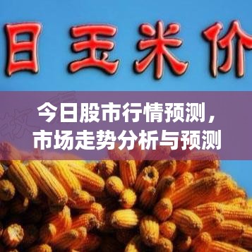 今日股市行情预测,市场走势分析与预测