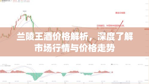 兰陵王酒价格解析,深度了解市场行情与价格走势