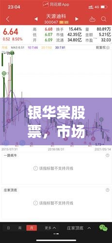 银华棠股票,市场趋势深度解析与投资策略探讨