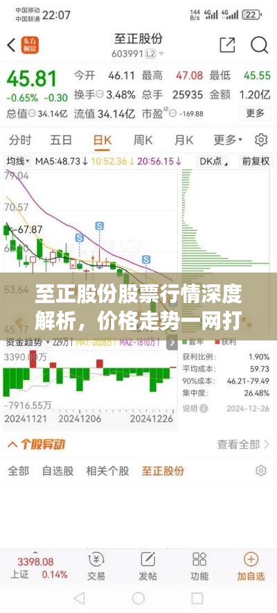 至正股份股票行情深度解析,价格走势一网打尽!